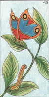 papillon - oracle Gé