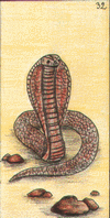 serpent - oracle Gé