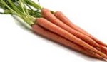 phytothérapie: La carotte - brest-voyance.fr