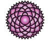 chakra de la couronne