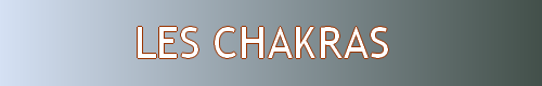 logo de la page sur les chakras