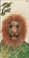 lion - oracle gé